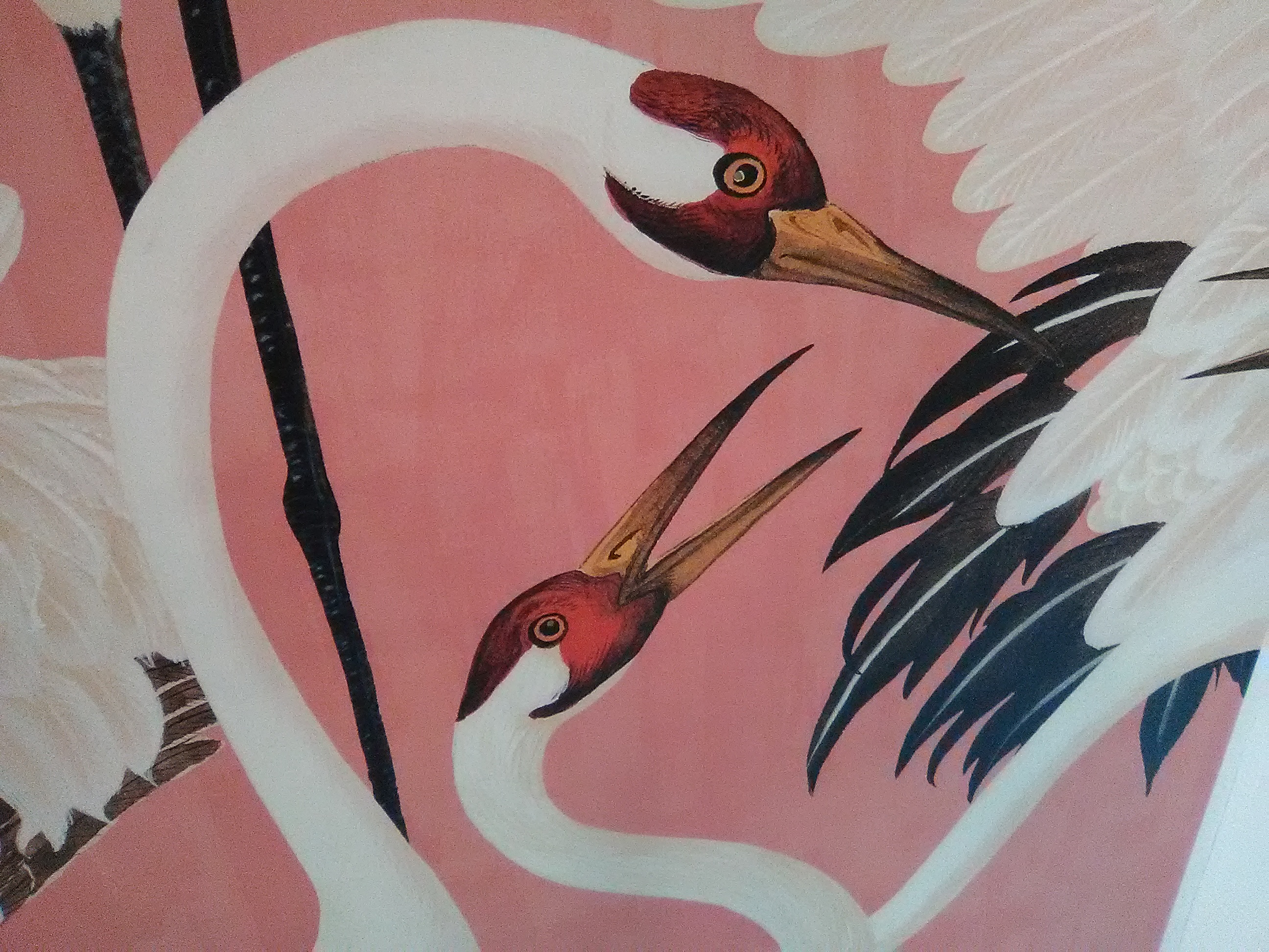 Detail Gucci Swan Wallpaper Nomer 36