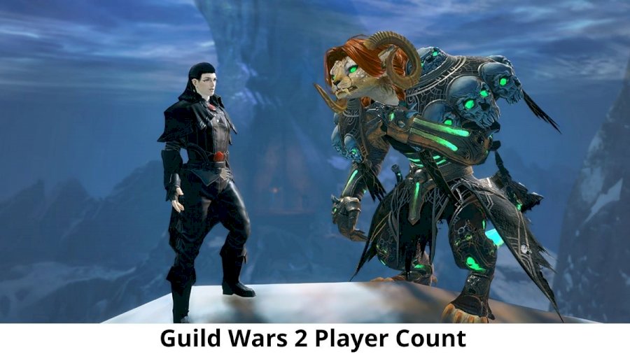 Detail Guild Wars 2 System Requirements Nomer 55