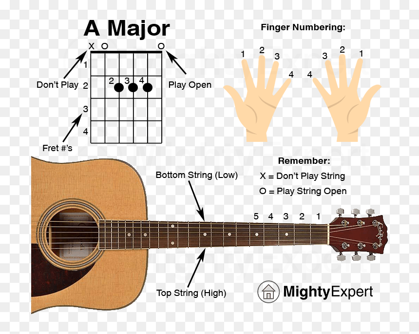 Detail Guitar Strings Png Nomer 53
