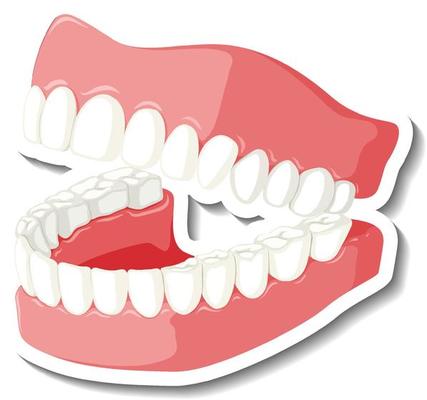 Detail Gums Clipart Nomer 25