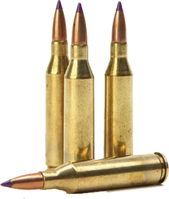 Detail Gun Bullet Png Nomer 33