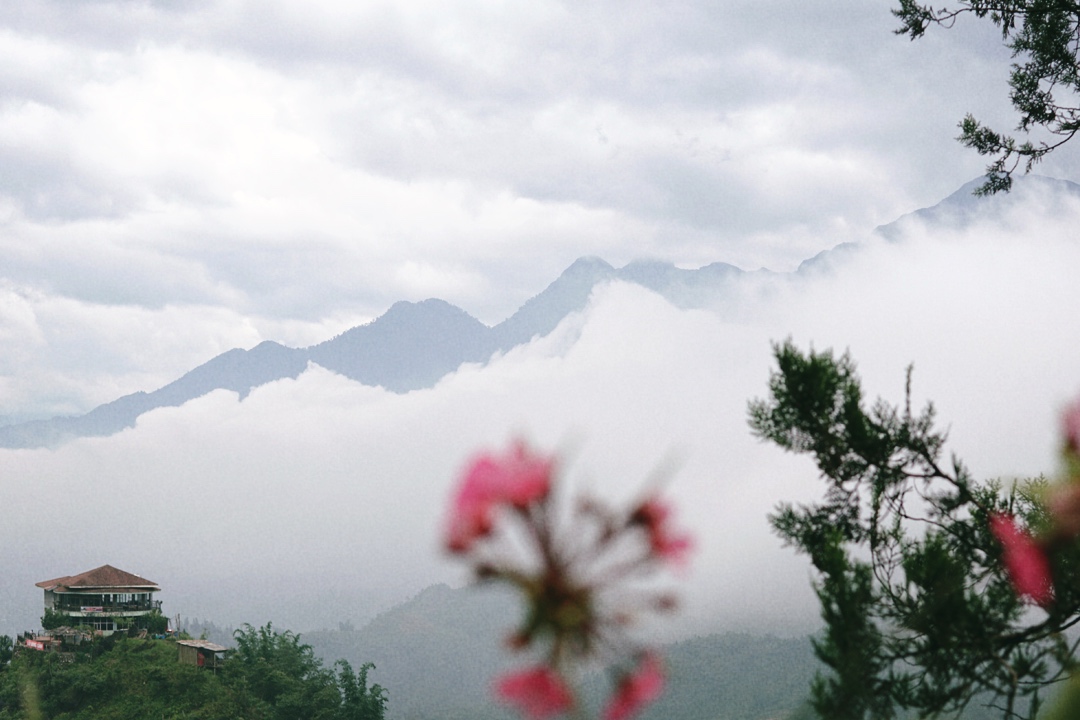 Detail Gunung Di Vietnam Nomer 43