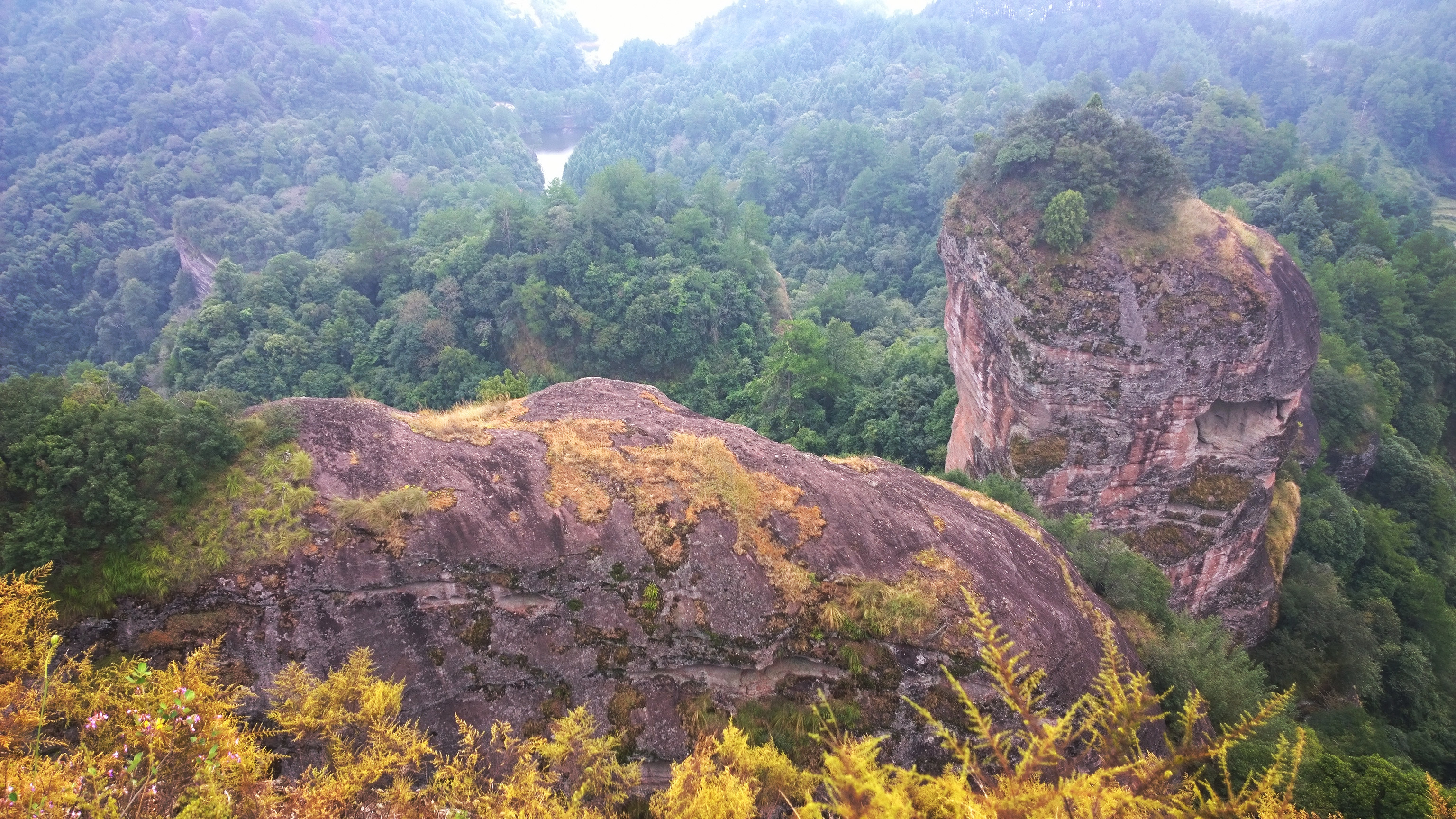 Detail Gunung Lima Jari Nomer 49