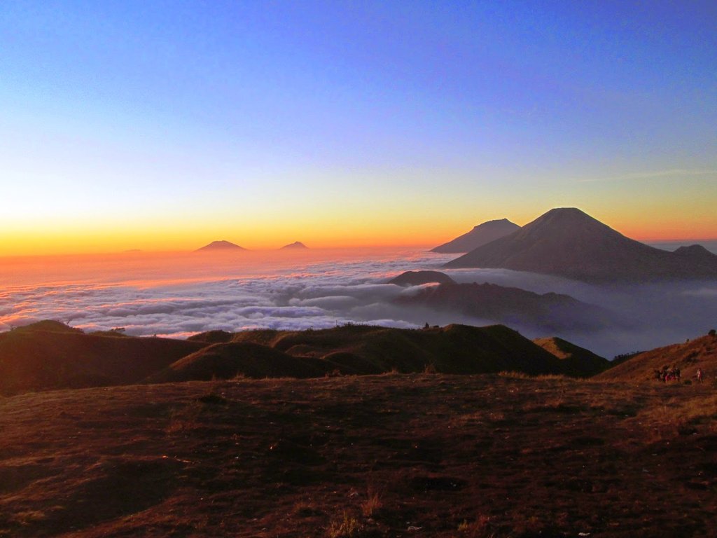 Detail Gunung Prau Wallpaper Nomer 49