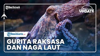 Detail Gurita Raksasa Di Laut Nomer 17