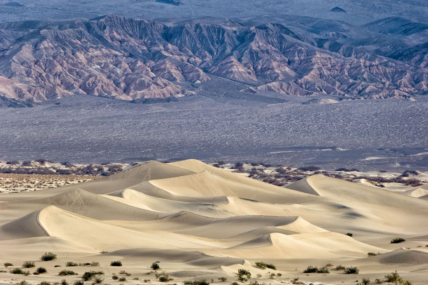 Detail Gurun Death Valley Nomer 2