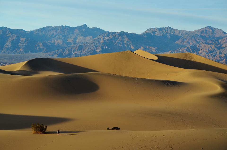 Detail Gurun Death Valley Nomer 39