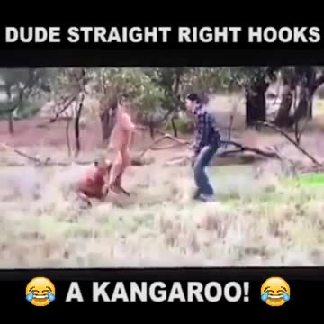 Detail Guy Punches Kangaroo Thug Life Nomer 31
