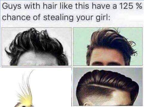 Detail Guys With Hair Like This Meme Nomer 42