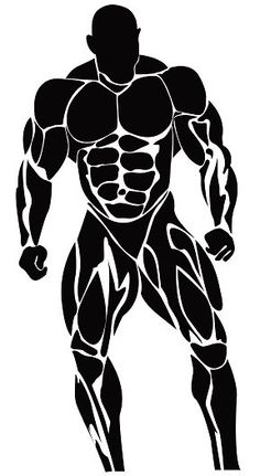 Detail Gym Bodybuilder Images Nomer 37