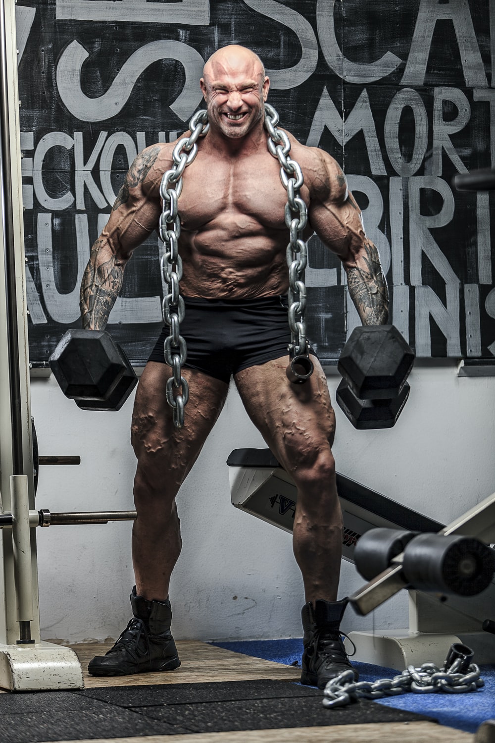 Detail Gym Bodybuilding Images Nomer 2