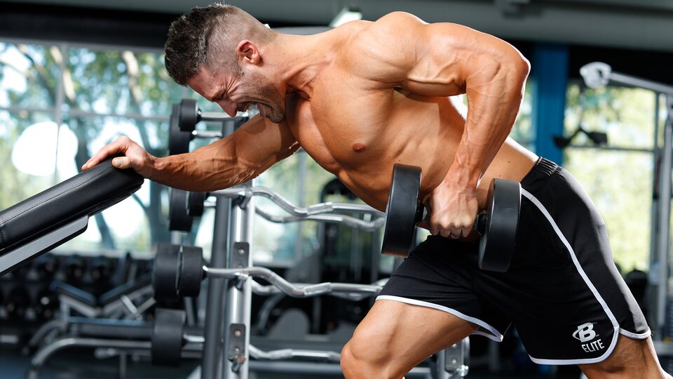 Detail Gym Bodybuilding Images Nomer 26