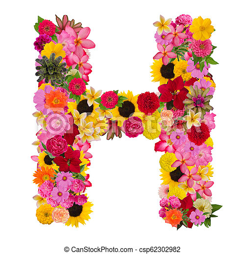 Detail H Letter Images Nomer 19