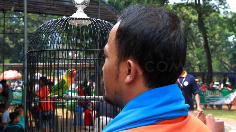 Detail Habitat Lovebird Di Alam Liar Nomer 35