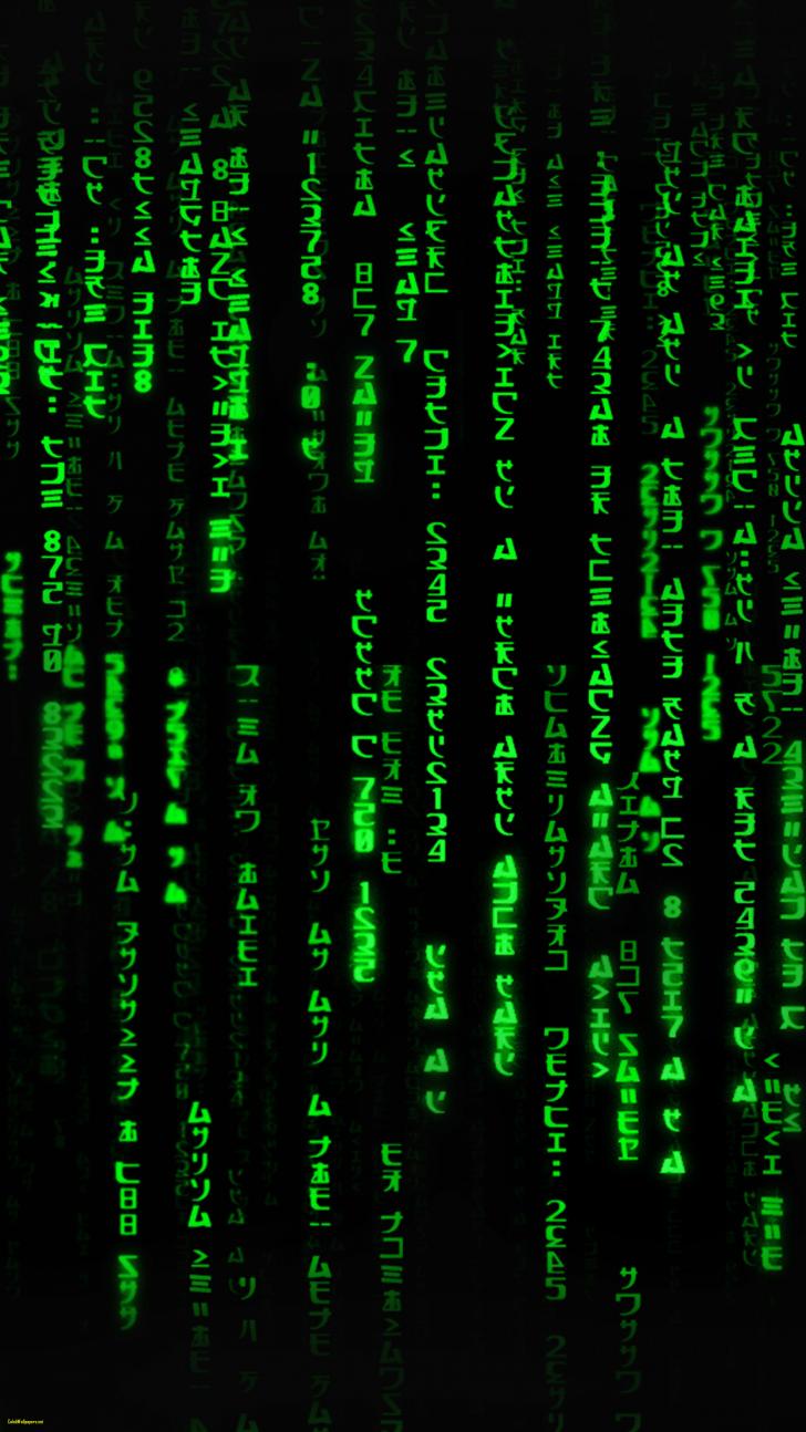 Detail Hacker Wallpaper Bergerak Nomer 5