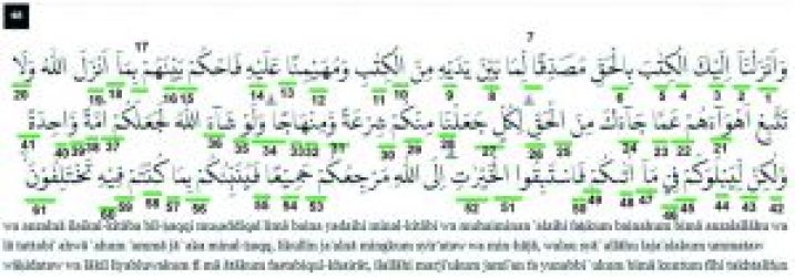 Detail Hadits Surat Al Maidah Ayat 48 Nomer 19