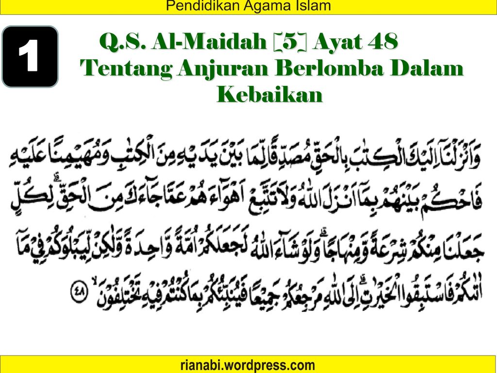 Detail Hadits Surat Al Maidah Ayat 48 Nomer 41