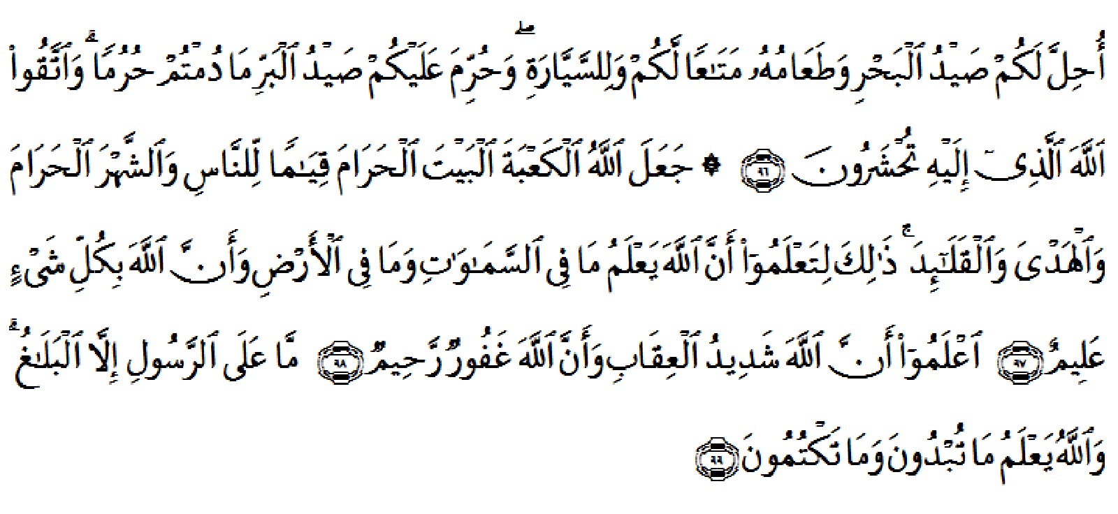 Detail Hadits Surat Al Maidah Ayat 48 Nomer 49