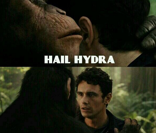 Detail Hail Hydra Meme Nomer 40