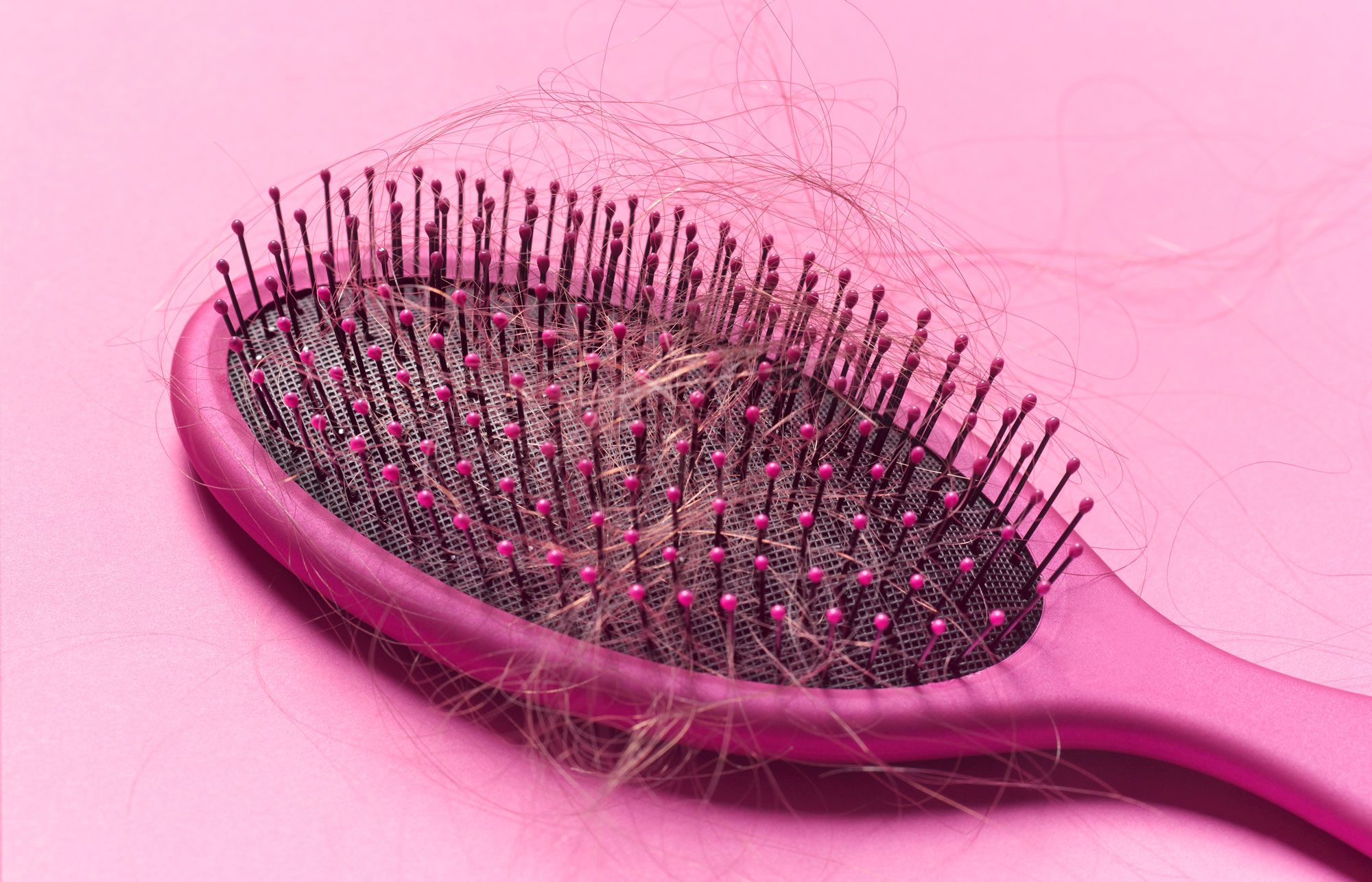 Detail Hair Brush Pics Nomer 23