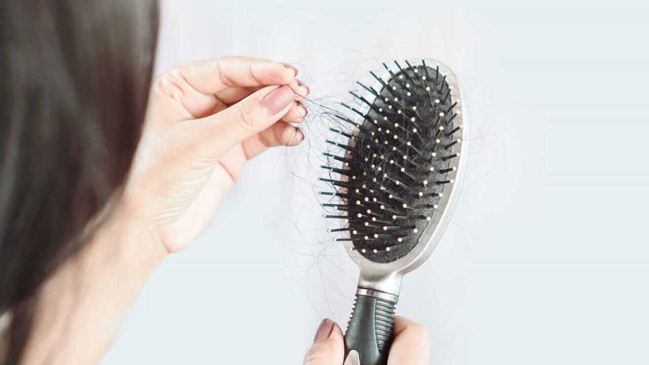 Detail Hair Brush Picture Nomer 33