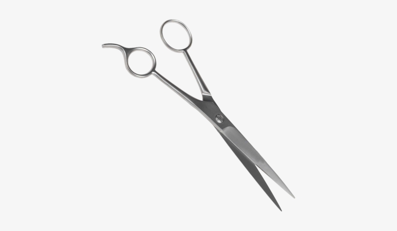 Detail Hair Scissors Png Nomer 32