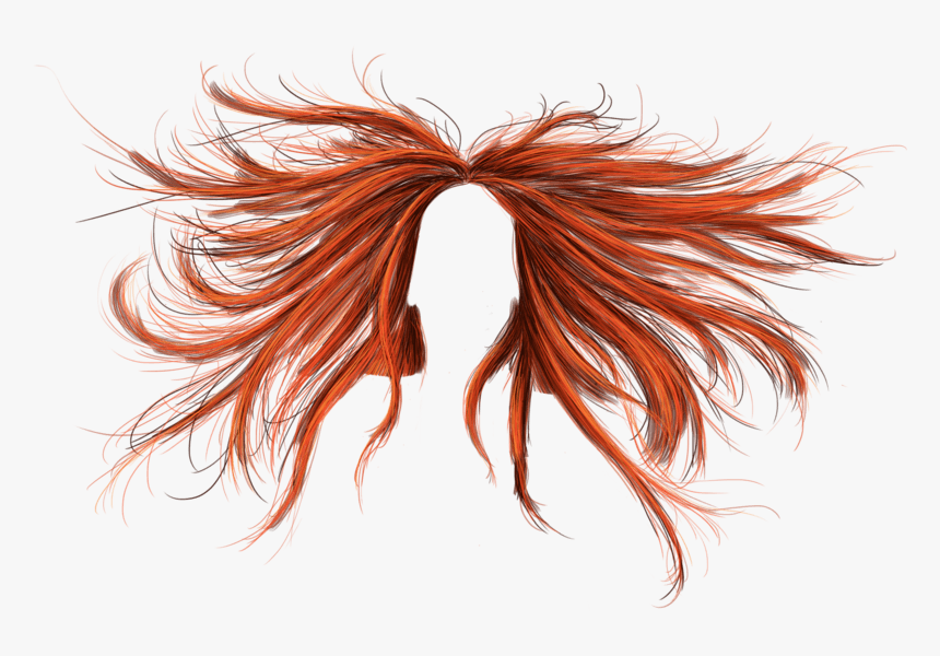 Detail Hair Transparent Background Nomer 41