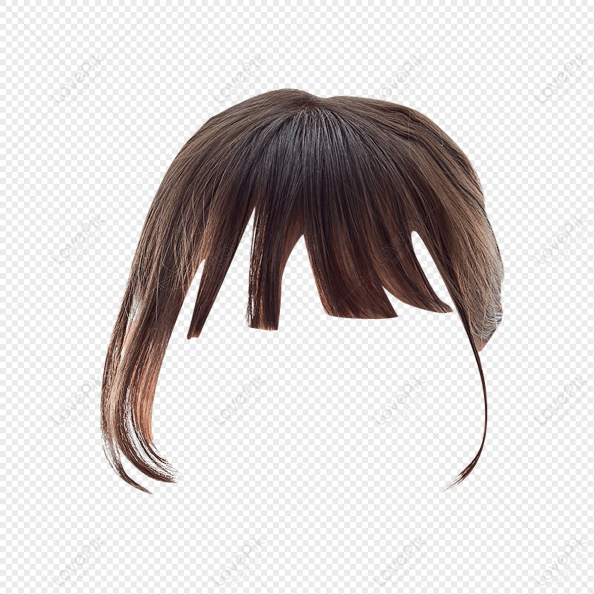 Detail Hair Wig Png Nomer 21