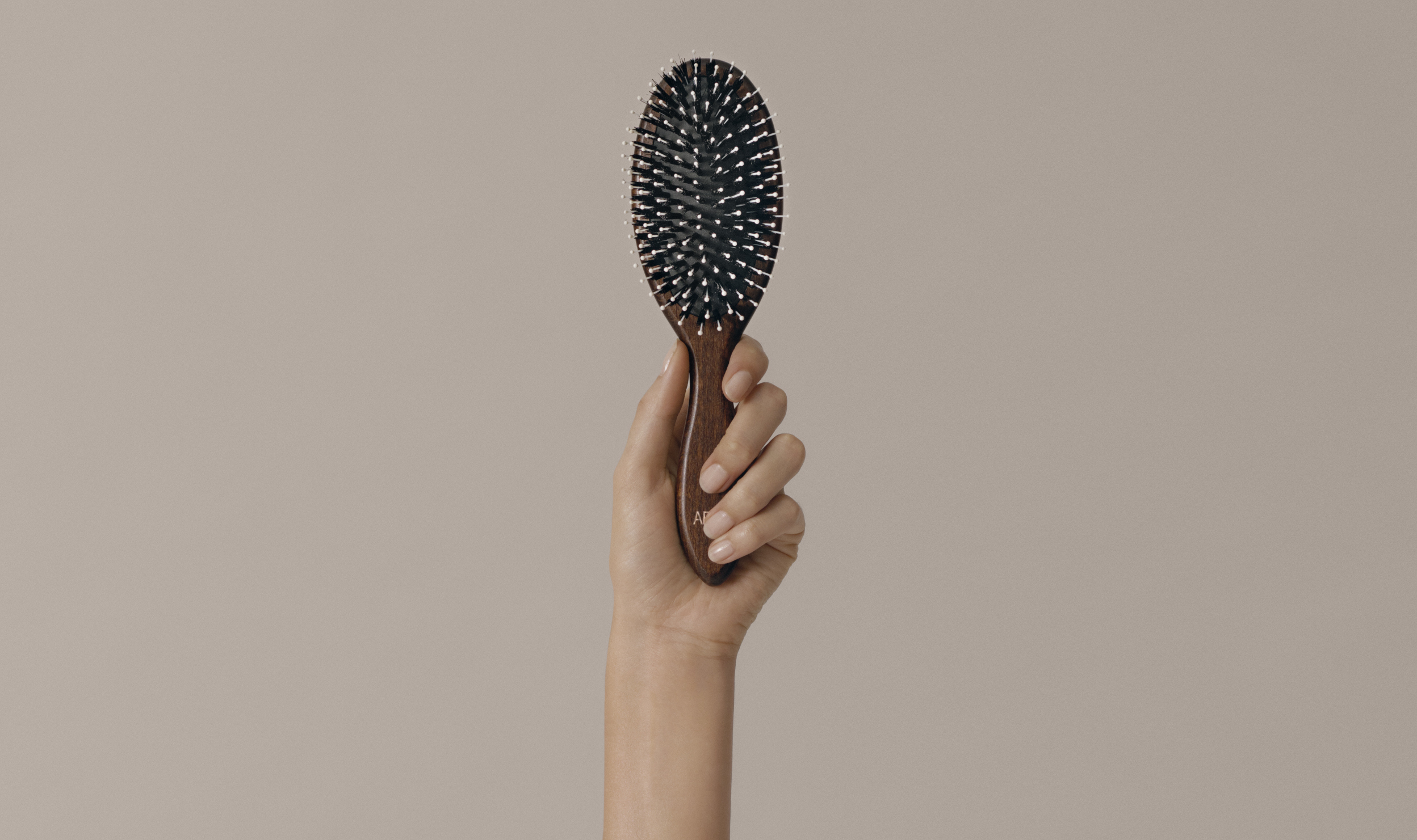 Detail Hairbrush Images Nomer 41