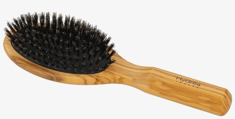 Detail Hairbrush Png Nomer 17