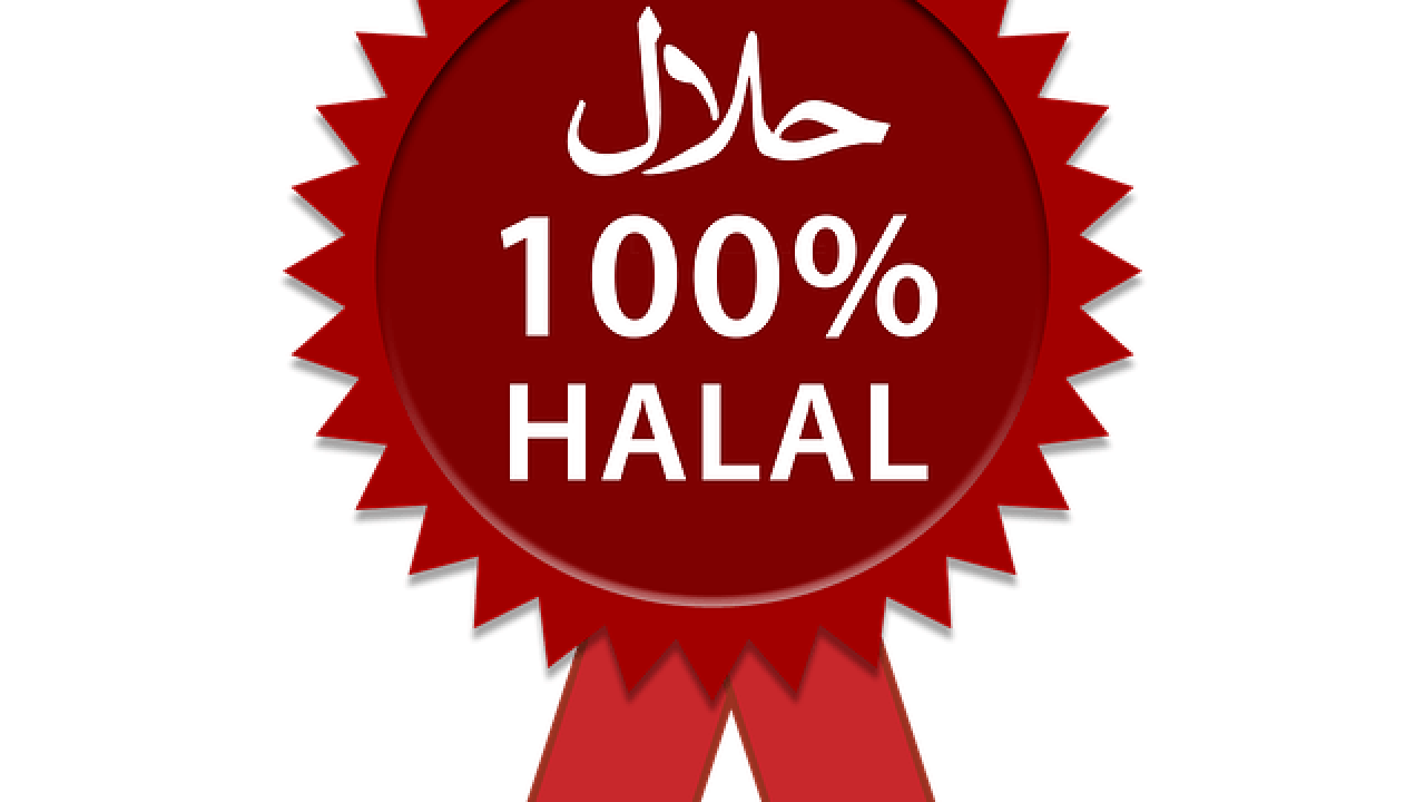 Detail Halal Logo Nomer 34