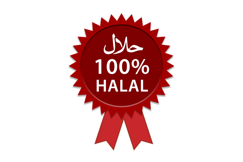 Detail Halal Logo Indonesia Nomer 41