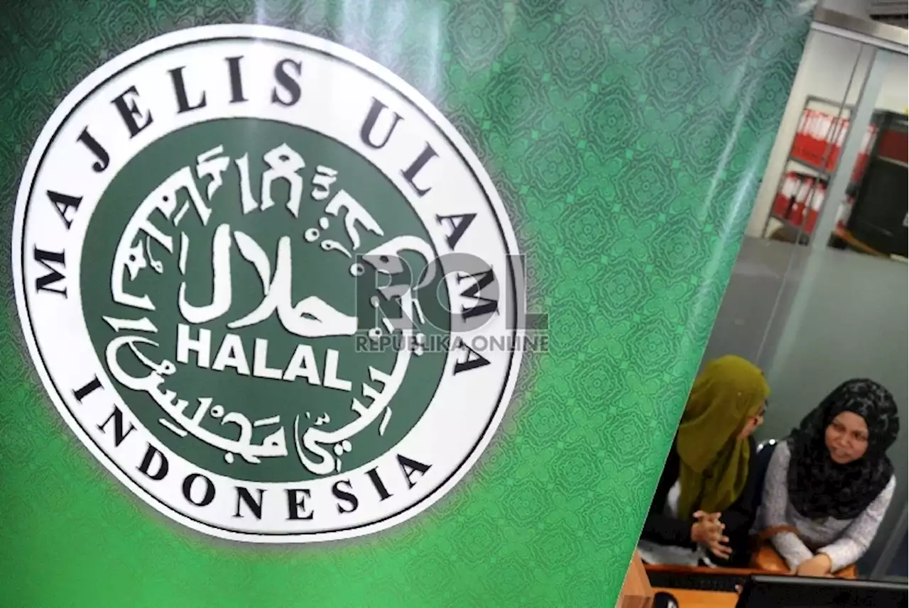 Detail Halal Mui Logo Nomer 53