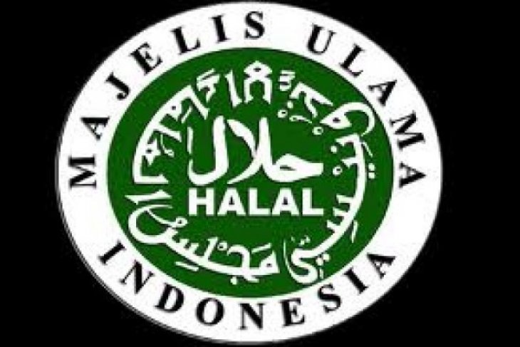 Detail Halal Mui Logo Nomer 57