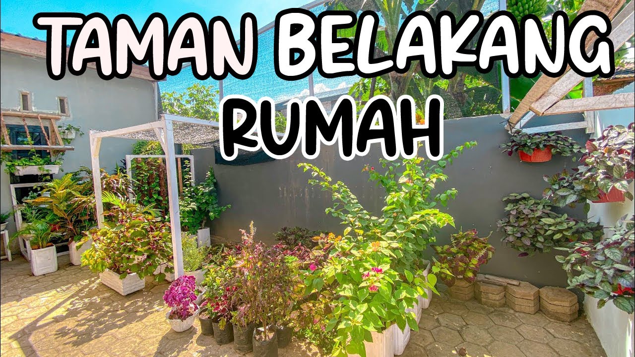 Detail Halaman Belakang Rumah Minimalis Nomer 49