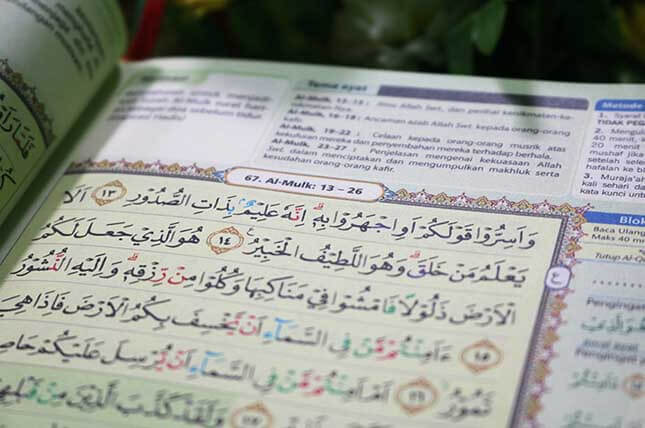 Detail Halaman Surat Al Mulk Nomer 19