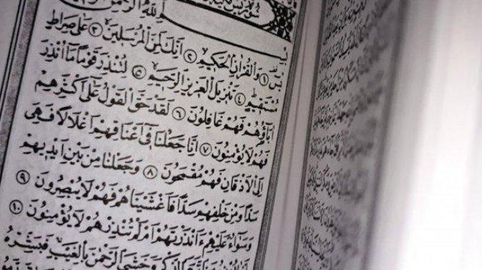 Detail Halaman Surat Yasin Di Al Quran Nomer 56