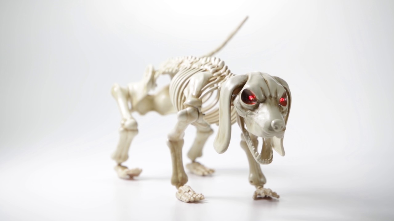 Detail Halloween Dachshund Dog Skeleton Nomer 36