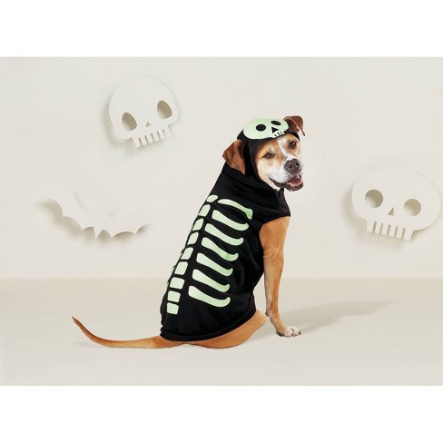 Detail Halloween Dachshund Dog Skeleton Nomer 58