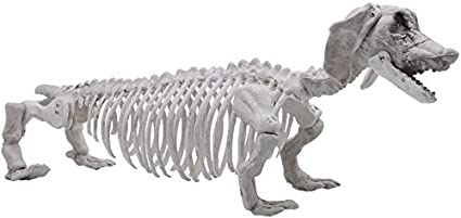 Detail Halloween Dachshund Dog Skeleton Nomer 9