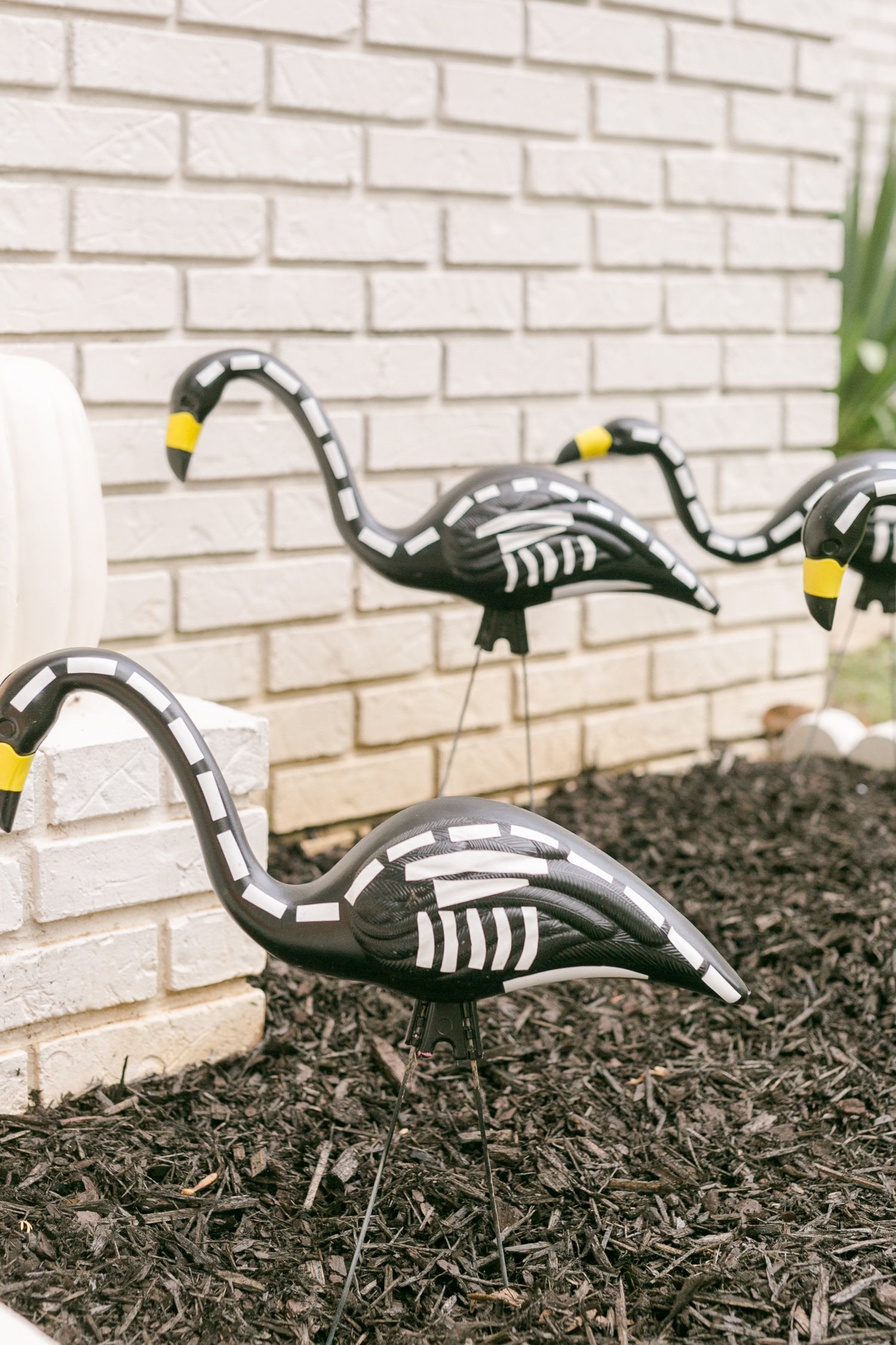 Detail Halloween Flamingos Skeleton Nomer 28