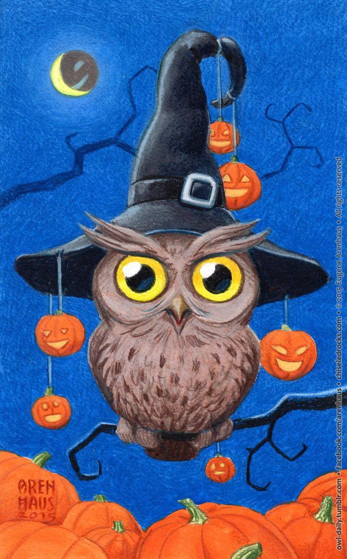 Detail Halloween Owls Wallpaper Nomer 2