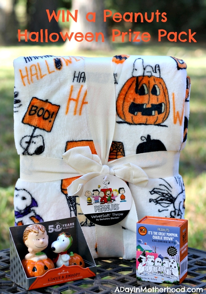 Detail Halloween Snoopy Blanket Nomer 17