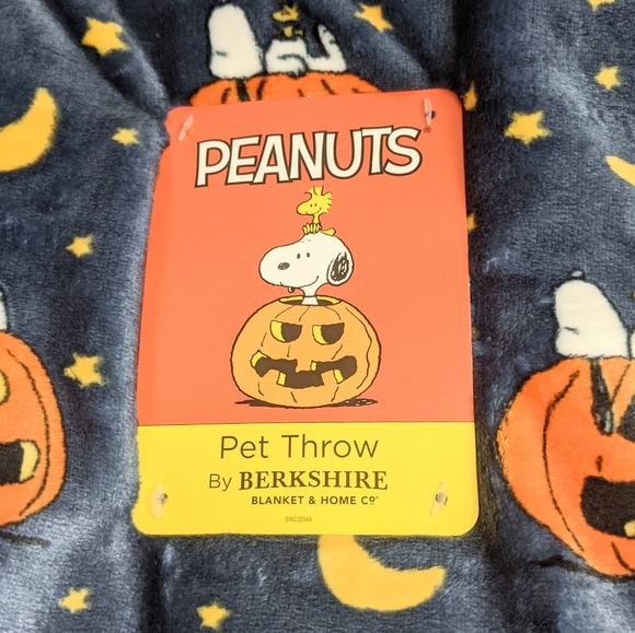 Detail Halloween Snoopy Blanket Nomer 29