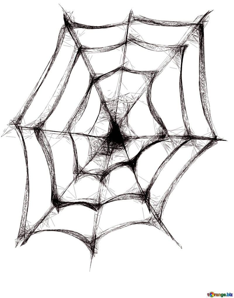 Detail Halloween Spider Web Clipart Nomer 32