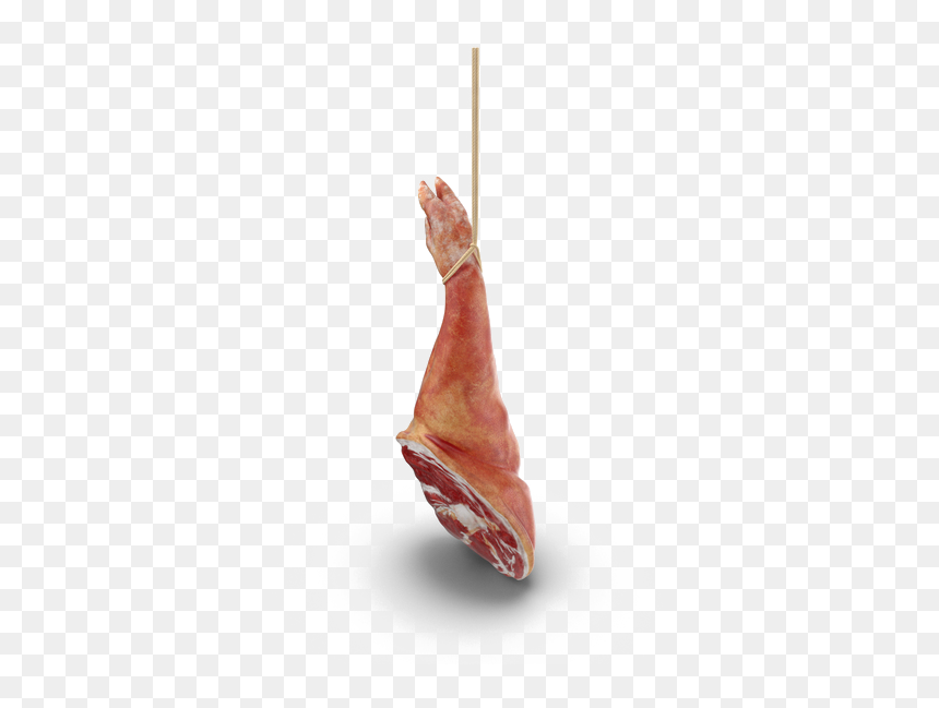 Detail Ham Transparent Background Nomer 38