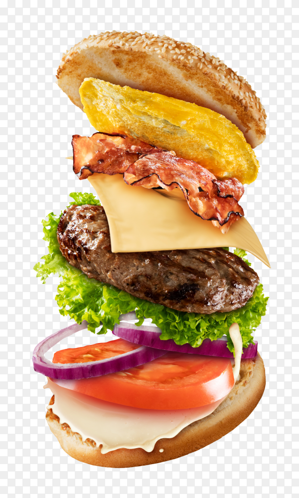 Detail Hamburger Png Nomer 39