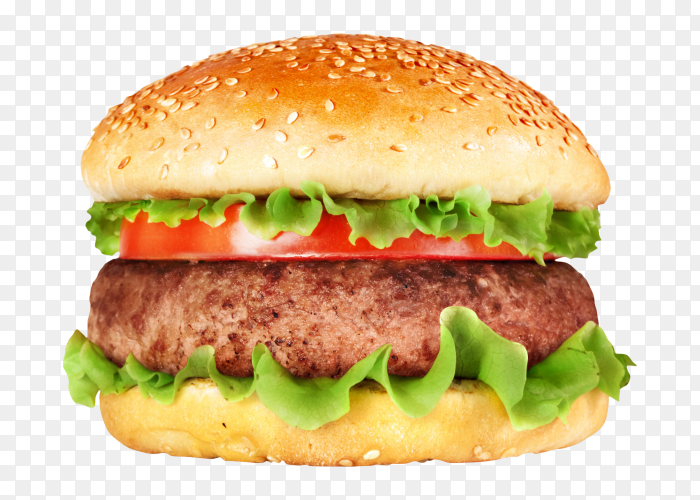 Detail Hamburger Png Nomer 44