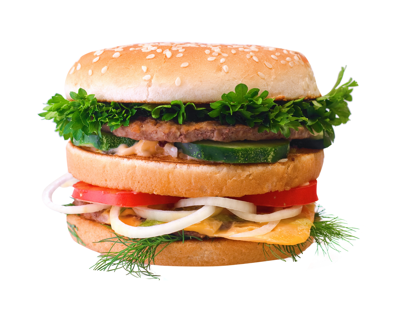 Detail Hamburger Transparent Nomer 54