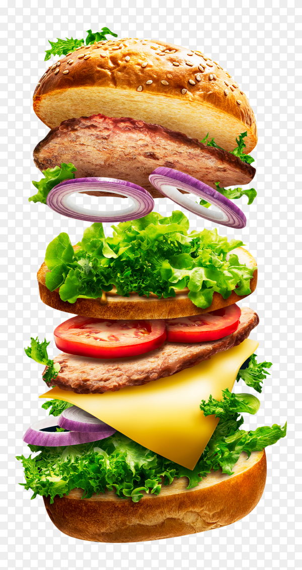 Detail Hamburger Transparent Background Nomer 12